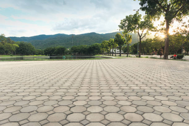 Best Custom Driveway Pavers  in Longtown, OK